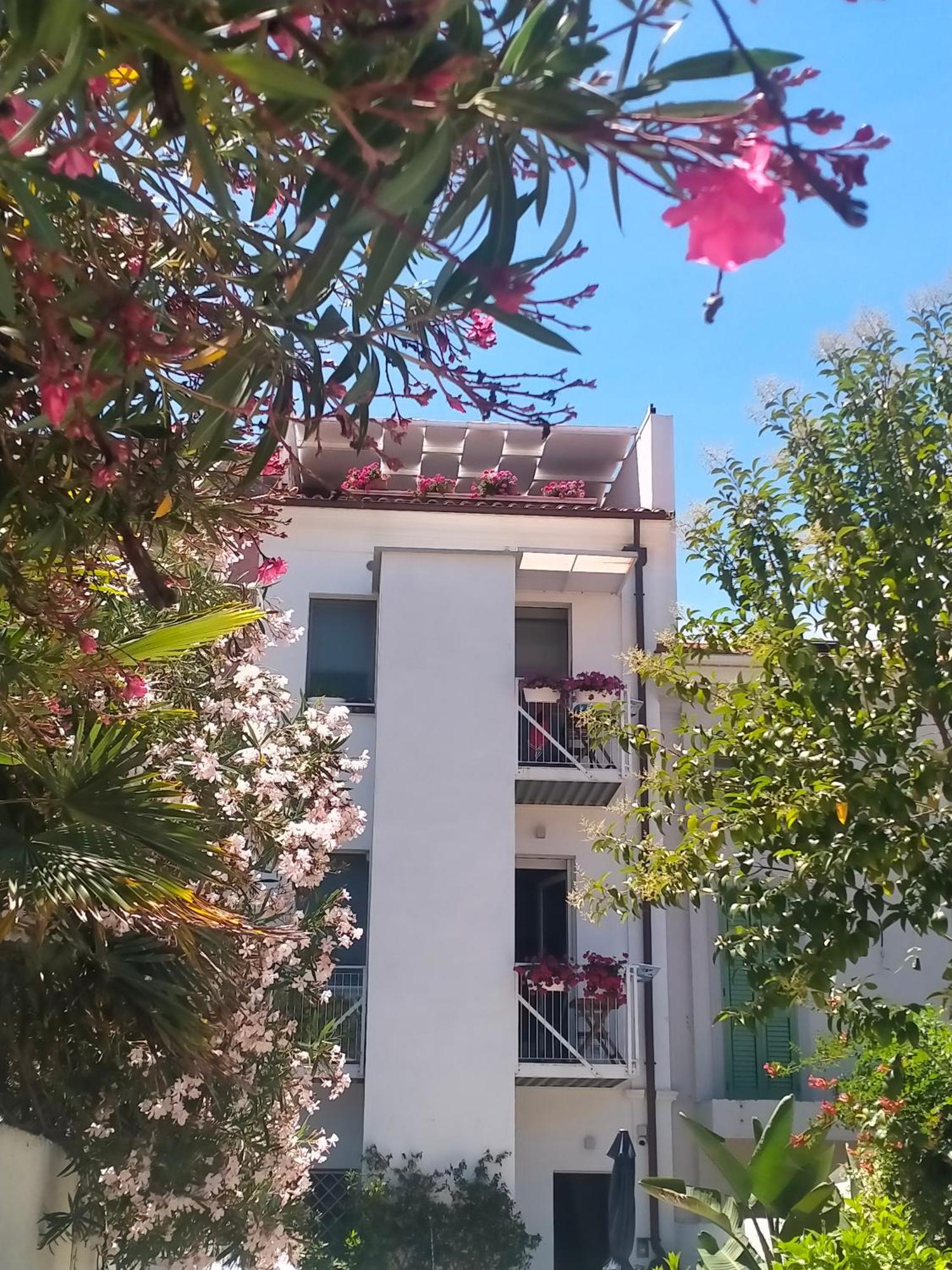B&B Previsto Sole Civitanova Marche Ngoại thất bức ảnh